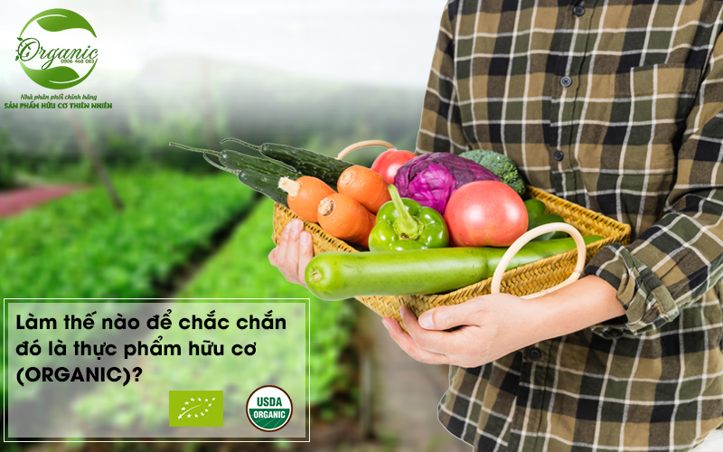 Thực phẩm hữu cơ (Organic) là gì? Chúng khác gì với thực phẩm thường?